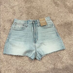 Madewell Light Blue Momjean Short Shorts